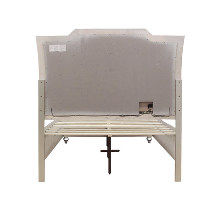 ReForm Creative Home Muskan Platform Storage Bed w/Led Lighting - Champagne Free Delivery USA & 