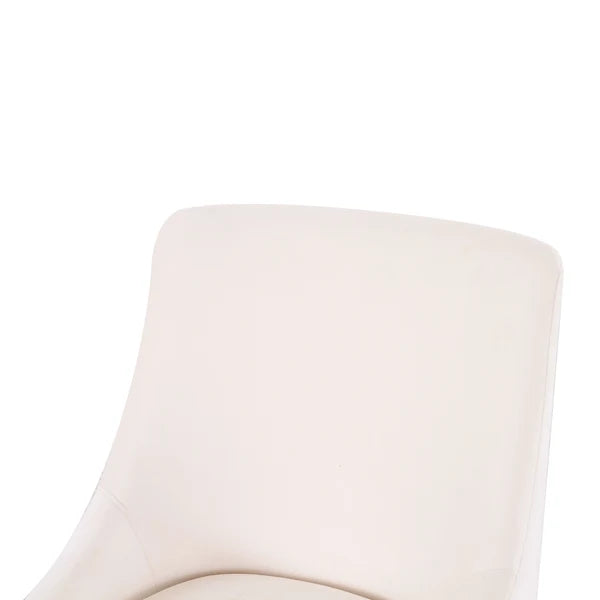 Baillet Luxe Performance Velvet Dining Chair - Multiple Colors