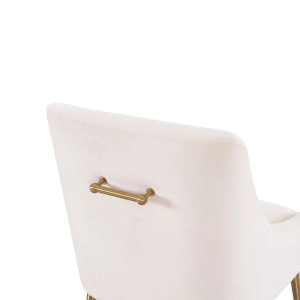 Baillet Luxe Performance Velvet Dining Chair - Multiple Colors