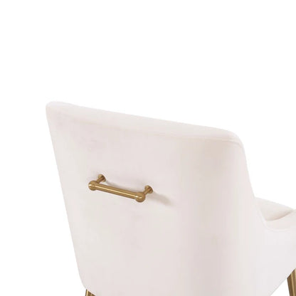 Baillet Luxe Performance Velvet Dining Chair - Multiple Colors