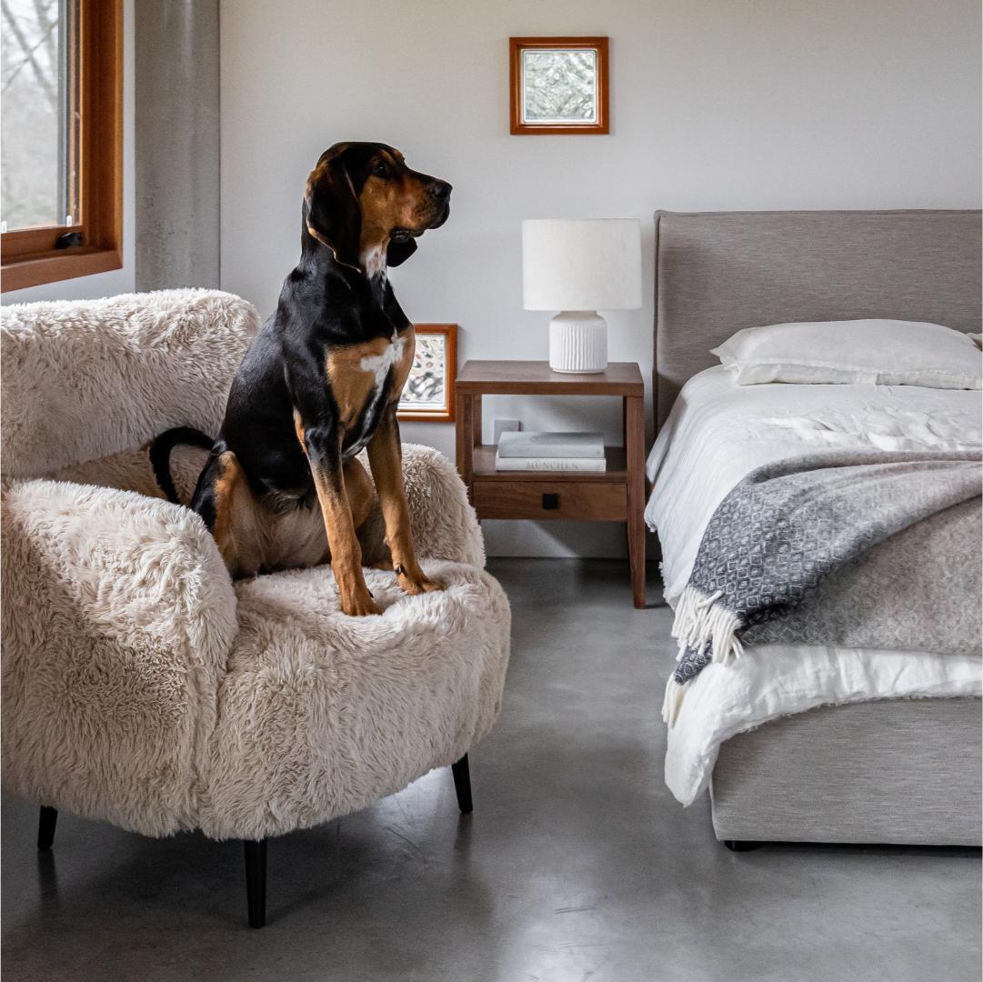 Julia Queen Storage Bed - Sand