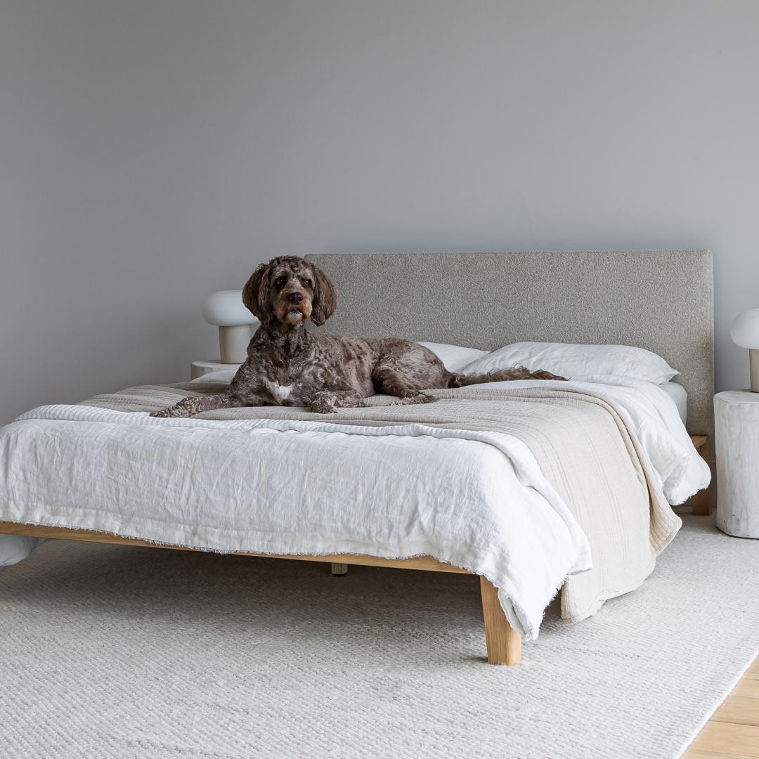 ReForm Creative Home Luna Tool Free Upholstered Queen Bed - Beige Free Delivery USA & Canada