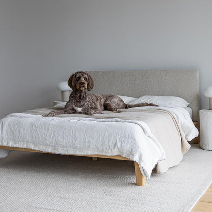 ReForm Creative Home Luna Tool Free Upholstered Queen Bed - Beige Free Delivery USA & Canada