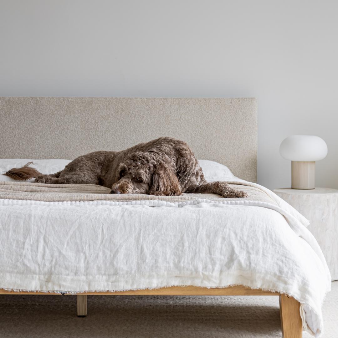 ReForm Creative Home Luna Tool Free Upholstered King Bed - Beige Free Delivery USA & Canada
