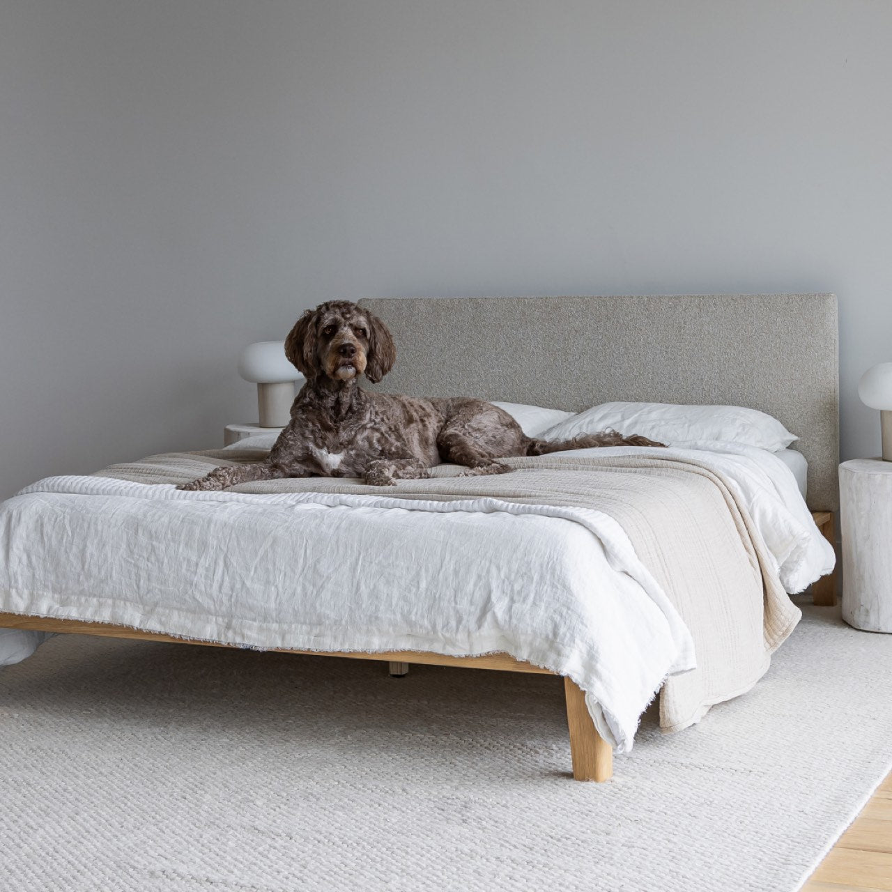 ReForm Creative Home Luna Tool Free Upholstered Double Bed - Beige Free Delivery USA & Canada