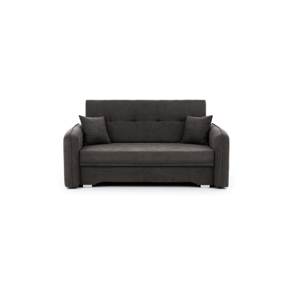 Laine Condo Style 2 Seater Storage Sleeper Sofa - Dark Grey