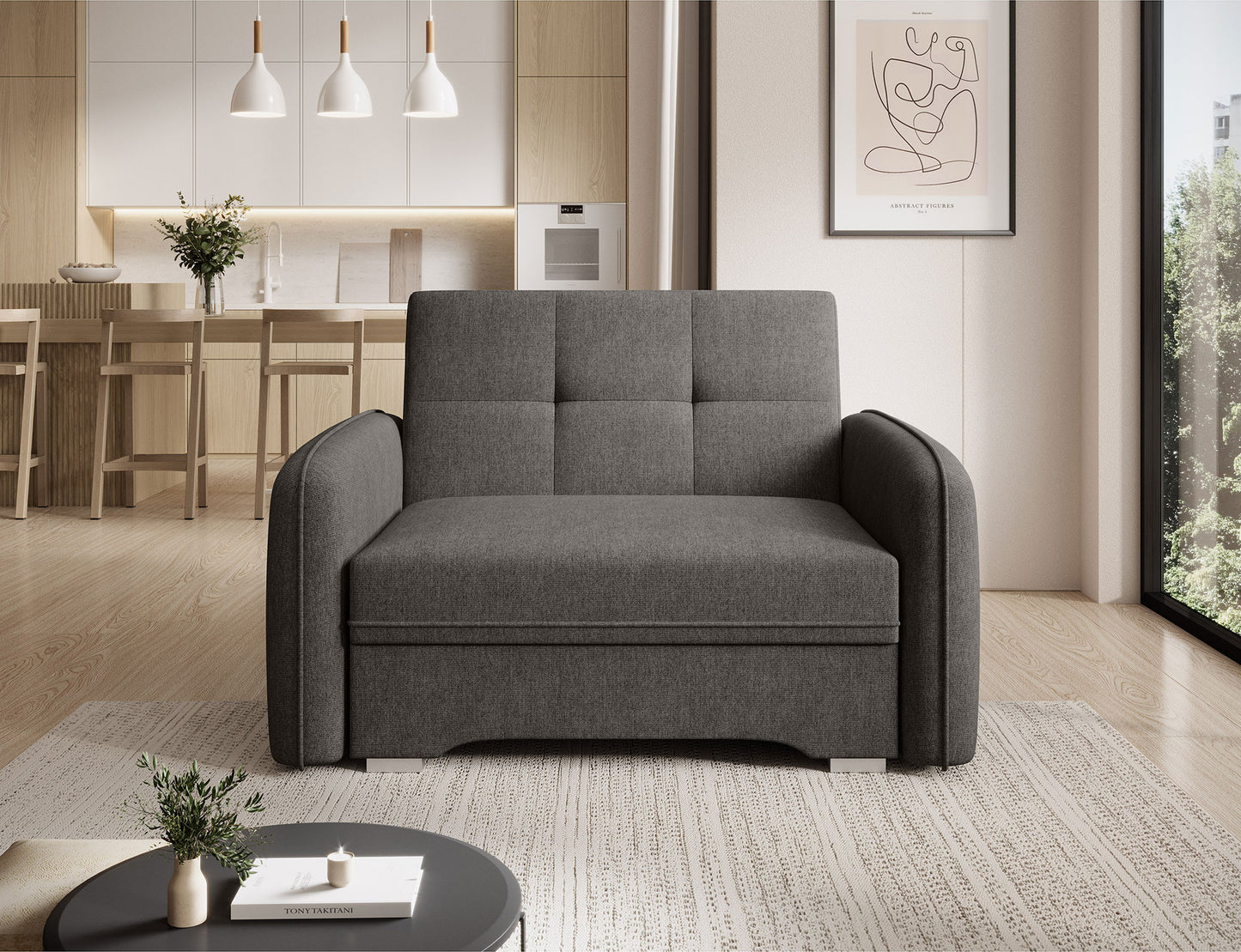 Laine Condo Style 1 Seater Storage Sleeper Sofa - Dark Grey