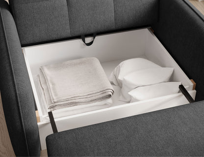 Laine Condo Style 1 Seater Storage Sleeper Sofa - Black